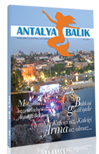 Antalya Balık